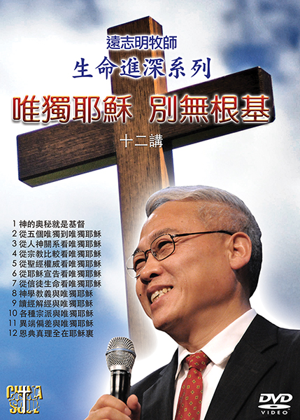 2011 Yuan DVD Cover